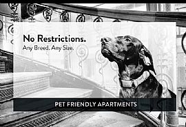 Charlton Estates, Apt 303, 1492 Charlton St, West Saint Paul, M in West Saint Paul, MN (Photo 11 of 11)