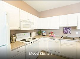 800 Hydric Ct, Odenton, Md 21113 in Odenton, MD (Photo 5 of 12)