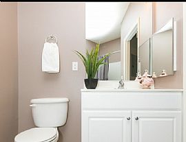 800 Hydric Ct, Odenton, Md 21113 in Odenton, MD (Photo 7 of 12)