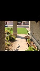 349 E Park Ave, Gilbert, Az 85234 in Gilbert, AZ (Photo 3 of 12)