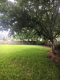 Beautiful 3 Bedroom For Rent in Goose Creek, SC (Photo 3 of 12)