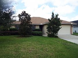 Don’t Turtle Around! Look and Lease and Receive One Month Fre in Saint Augustine, FL