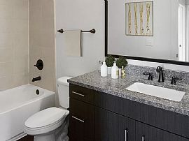 1bedroom Apartment in Charlotte, NC