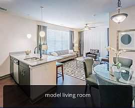 1bedroom Apartment in Charlotte, NC (Photo 2 of 4)
