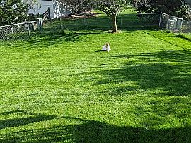 6401 Toribrooke Ln, Madison, Wi 53719 in Madison, WI (Photo 8 of 8)