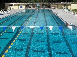 336 Elkhorn Ct, Winter Park, Fl 32792 in Winter Park, FL (Photo 12 of 12)