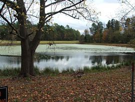 215 Peach Hill Dr, Lexington, Sc 29072  in Lexington, SC (Photo 10 of 10)