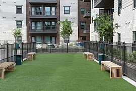 Alexan Lower Greenville in Dallas, TX (Photo 6 of 12)