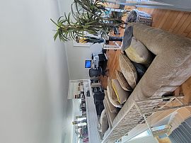 Beautiful Garden View Bedroom For Rent in Playa del Rey, CA