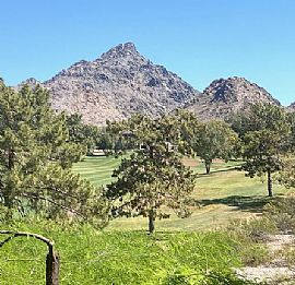 6138 N 28th St, Phoenix, Az 85016 in Phoenix, AZ (Photo 2 of 12)