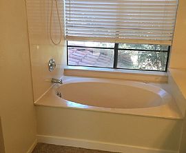 4329 E Badger Way, Phoenix, Az 85044 in Phoenix, AZ (Photo 3 of 3)