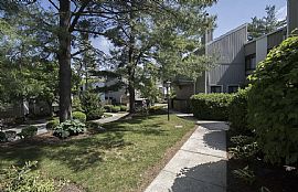 Nice 2 Bedroom House For Rent. 1710 Oakwood Ter Apt 5e, Penn Va in Penn Valley, PA