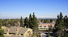 Beautiful Two Bedroom  in Long Beach, CA (Photo 3 of 12)