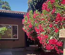 3 Bedrooms 2 Bathrooms in Sunnyvale, CA