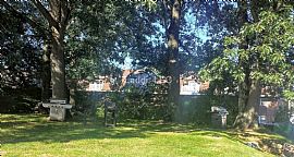 Bright, Beautifully Updated 1-Bedrm, 1-Bath 1st Floor Condo in South Lawrence, MA (Photo 11 of 12)