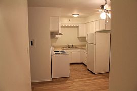 Apartment For Rent in Oak Park, IL (Photo 3 of 6)