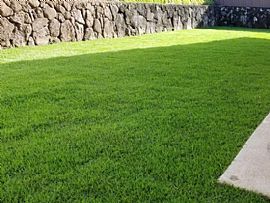 1445 Akamai St, Kailua in Kailua, HI (Photo 5 of 5)