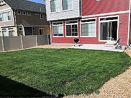 Beautiful House For Rent in Denver, CO (Photo 10 of 11)