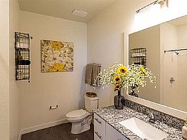 1ba in Tampa, FL (Photo 3 of 12)