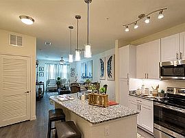 1ba in Tampa, FL (Photo 6 of 12)