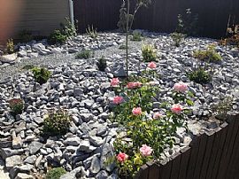 255 1st St, Fernley, Nv 89408 in Fernley, NV (Photo 2 of 12)