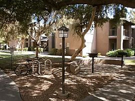 14145 N 92nd St, Scottsdale, Az 85260 in Scottsdale, AZ (Photo 11 of 11)