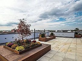 1 Bedroom and a Bathroom in Brooklyn, NY