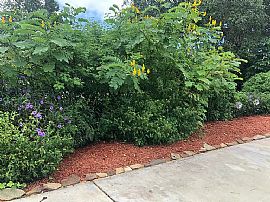 12768 Oak St, Largo, Fl 33774 in Largo, FL (Photo 3 of 12)