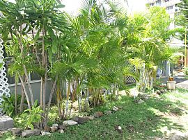 Lovely 2bedroom Apartment For Rent  in Honolulu, HI