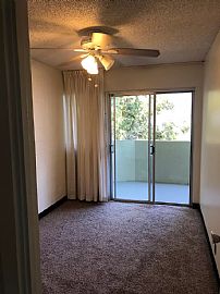 Comfortable 2bed Apartment  in Honolulu, HI (Photo 5 of 12)