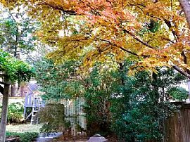 Lake Living in a Beautiful Park in Cordova, TN (Photo 9 of 12)