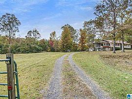 231 County Road 393, Maplesville, Al 36750 in Maplesville, AL (Photo 4 of 5)