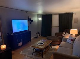 271 N Grant St #102 in Denver, CO