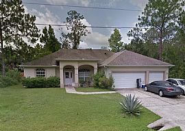 46 White Feather Ln, Palm Coast, Fl 32164 in Palm Coast, FL