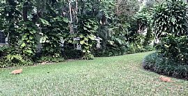 7222 Sw 53rd Ave in Miami, FL (Photo 12 of 12)