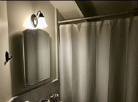 7222 Sw 53rd Ave in Miami, FL (Photo 9 of 12)