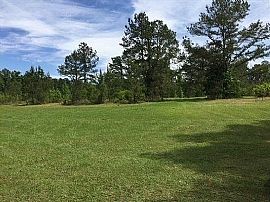 4100 Flat Creek Rd, Quincy, Fl 32324 in Chattahoochee, FL (Photo 7 of 7)