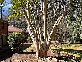 1460 Woodland Cir Se, Atlanta, Ga 30316 Peace 2 Bedroom House  in Atlanta, GA (Photo 3 of 12)