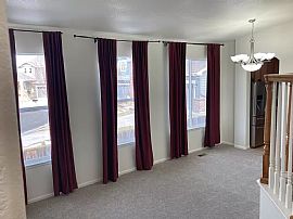 10482 E Telluride Ct, Commerce City, Co 80022 in Commerce City, CO (Photo 12 of 12)