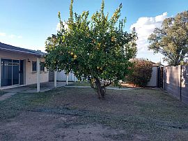 3301 N Apollo Dr, Chandler, Az 85224 in Chandler, AZ (Photo 12 of 12)