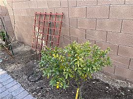 6202 Andover Wood Rd, Spring Valley, Nv 89113 in Las Vegas, NV (Photo 11 of 12)