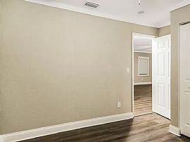 2558 12th Ave S, Saint Petersburg, Fl 33712 in Saint Petersburg, FL (Photo 10 of 12)