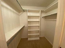 Beautiful 3 Bedroom 2 Bath Home For Rent  in Wichita Falls, TX (Photo 4 of 8)