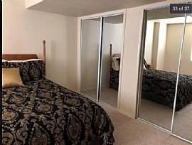 4031 Morning Glory Rd, Colorado Springs, Co 80920  in Colorado Springs, CO (Photo 11 of 12)