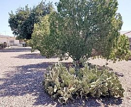 9951 W Clair Dr, Sun City, Az 85351 in Sun City, AZ (Photo 11 of 11)