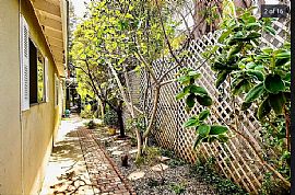 629 1/2 Palms Blvd, Venice, Ca 90291  1908 19th St Apt B, Santa in Venice, CA (Photo 2 of 12)