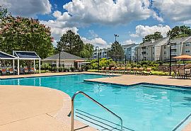 Colonial Village at Chase Gayton, # 531, 100 Chase Gayton Dr, H in Richmond, VA (Photo 9 of 12)