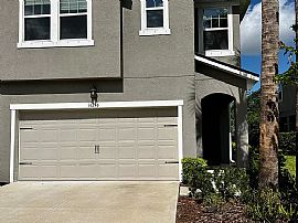 14246 Damselfly Dr, Tampa, Fl 33625 in Tampa, FL