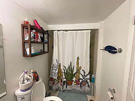 3117 Rosemary Ln, Hyattsville, Md 20783 in Hyattsville, MD (Photo 9 of 12)