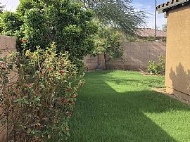 3595 S Jasmine Dr, Chandler, Az 85286 in Chandler, AZ (Photo 12 of 12)